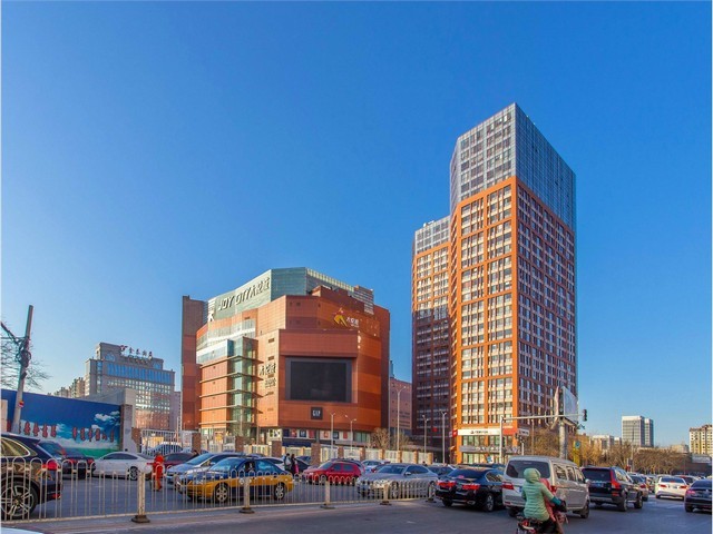 浙江CB450A皮壳机厂家